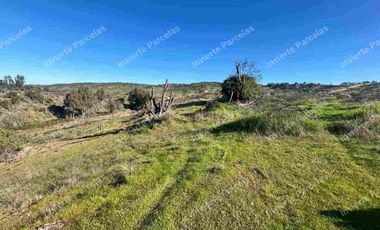 OPORTUNIDAD INVERSION