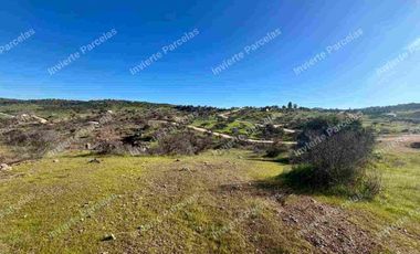 OPORTUNIDAD INVERSION