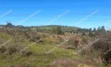 OPORTUNIDAD INVERSION