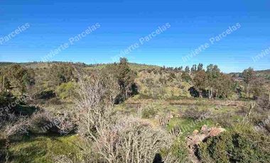 OPORTUNIDAD INVERSION