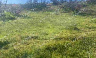 OPORTUNIDAD INVERSION