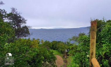 Parcela orilla de Lago Ranco