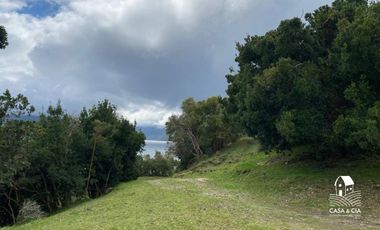 Parcela orilla de Lago Ranco