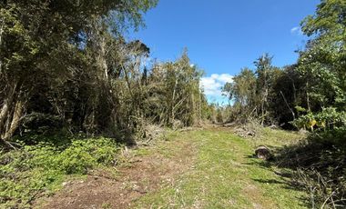 Se Vende Parcela 5.5 HAS en Pirhuín, Paillaco, Región de Los Ríos.