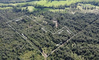 Se Vende Parcela 5.5 HAS en Pirhuín, Paillaco, Región de Los Ríos.