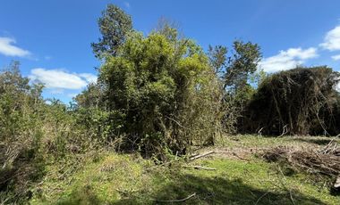 Se Vende Parcela 5.5 HAS en Pirhuín, Paillaco, Región de Los Ríos.