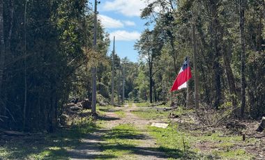 Se Vende Parcela 5.5 HAS en Pirhuín, Paillaco, Región de Los Ríos.