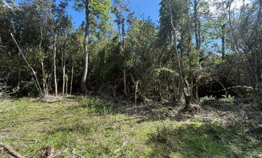 Se Vende Parcela 5.5 HAS en Pirhuín, Paillaco, Región de Los Ríos.