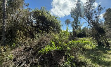 Se Vende Parcela 5.5 HAS en Pirhuín, Paillaco, Región de Los Ríos.