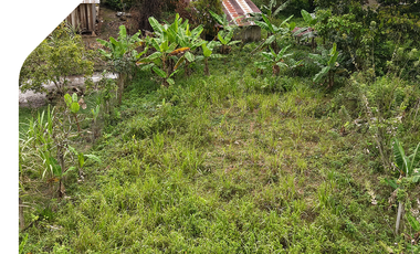 Propiedad en Logroño Morona Santiago, Terrenos en la Amazonía, Terrenos cerca de Sucúa