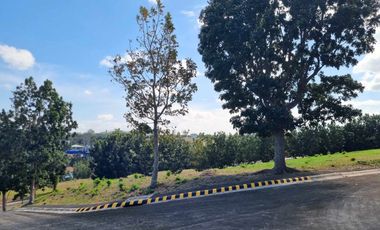 Php 23k/SQM - RUSH SALE! Prime Lot in Manila Southwoods Phase 5 – Unobstructed Laguna de Bay & Mt. Makiling Views!