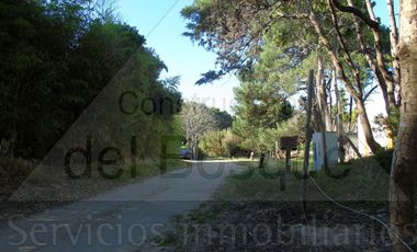 Lote Unifamiliar en Cul de Sac.