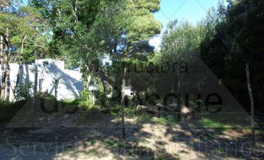 Lote Unifamiliar en Cul de Sac.