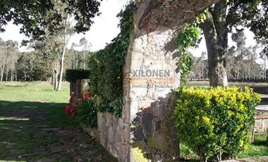 Rancho en venta 40 Hect. en Jilotepec Edo.Méx.privilegiado,Bella Ecología,casa colonial,caballerizas,3 presas de agua,delimitado, todos los servicios.