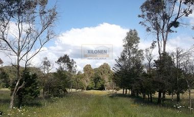 Rancho en venta 40 Hect. en Jilotepec Edo.Méx.privilegiado,Bella Ecología,casa colonial,caballerizas,3 presas de agua,delimitado, todos los servicios.