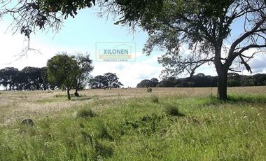 Rancho en venta 40 Hect. en Jilotepec Edo.Méx.privilegiado,Bella Ecología,casa colonial,caballerizas,3 presas de agua,delimitado, todos los servicios.