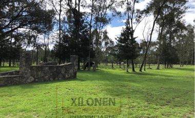 Rancho en venta 40 Hect. en Jilotepec Edo.Méx.privilegiado,Bella Ecología,casa colonial,caballerizas,3 presas de agua,delimitado, todos los servicios.