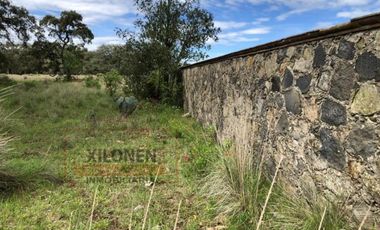 Rancho en venta 40 Hect. en Jilotepec Edo.Méx.privilegiado,Bella Ecología,casa colonial,caballerizas,3 presas de agua,delimitado, todos los servicios.