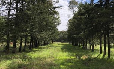 Rancho en venta 40 Hect. en Jilotepec Edo.Méx.privilegiado,Bella Ecología,casa colonial,caballerizas,3 presas de agua,delimitado, todos los servicios.