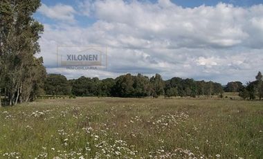 Rancho en venta 40 Hect. en Jilotepec Edo.Méx.privilegiado,Bella Ecología,casa colonial,caballerizas,3 presas de agua,delimitado, todos los servicios.