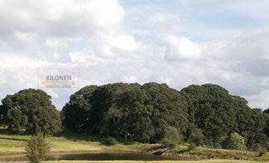 Rancho en venta 40 Hect. en Jilotepec Edo.Méx.privilegiado,Bella Ecología,casa colonial,caballerizas,3 presas de agua,delimitado, todos los servicios.