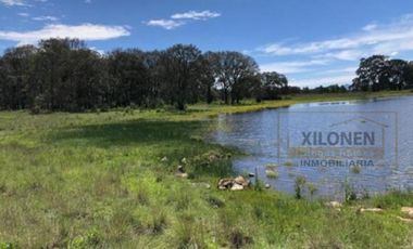 Rancho en venta 40 Hect. en Jilotepec Edo.Méx.privilegiado,Bella Ecología,casa colonial,caballerizas,3 presas de agua,delimitado, todos los servicios.