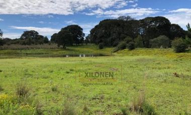 Rancho en venta 40 Hect. en Jilotepec Edo.Méx.privilegiado,Bella Ecología,casa colonial,caballerizas,3 presas de agua,delimitado, todos los servicios.