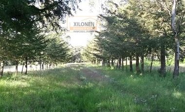 Rancho en venta 40 Hect. en Jilotepec Edo.Méx.privilegiado,Bella Ecología,casa colonial,caballerizas,3 presas de agua,delimitado, todos los servicios.