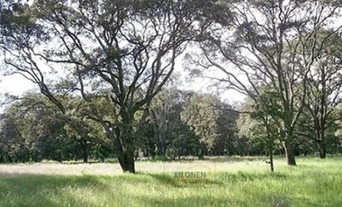 Rancho en venta 40 Hect. en Jilotepec Edo.Méx.privilegiado,Bella Ecología,casa colonial,caballerizas,3 presas de agua,delimitado, todos los servicios.