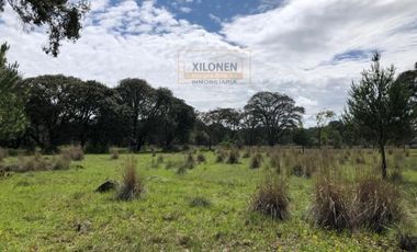 Rancho en venta 40 Hect. en Jilotepec Edo.Méx.privilegiado,Bella Ecología,casa colonial,caballerizas,3 presas de agua,delimitado, todos los servicios.