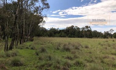 Rancho en venta 40 Hect. en Jilotepec Edo.Méx.privilegiado,Bella Ecología,casa colonial,caballerizas,3 presas de agua,delimitado, todos los servicios.