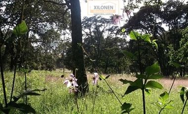 Rancho en venta 40 Hect. en Jilotepec Edo.Méx.privilegiado,Bella Ecología,casa colonial,caballerizas,3 presas de agua,delimitado, todos los servicios.