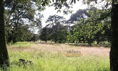 Rancho en venta 40 Hect. en Jilotepec Edo.Méx.privilegiado,Bella Ecología,casa colonial,caballerizas,3 presas de agua,delimitado, todos los servicios.