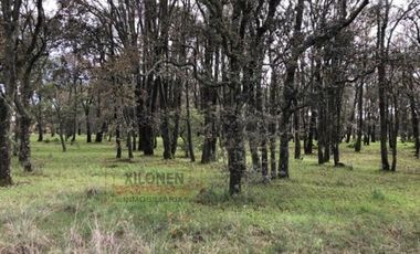 Rancho en venta 40 Hect. en Jilotepec Edo.Méx.privilegiado,Bella Ecología,casa colonial,caballerizas,3 presas de agua,delimitado, todos los servicios.