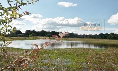 Rancho en venta 40 Hect. en Jilotepec Edo.Méx.privilegiado,Bella Ecología,casa colonial,caballerizas,3 presas de agua,delimitado, todos los servicios.