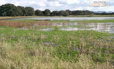 Rancho en venta 40 Hect. en Jilotepec Edo.Méx.privilegiado,Bella Ecología,casa colonial,caballerizas,3 presas de agua,delimitado, todos los servicios.