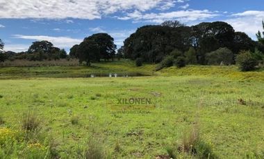 Rancho en venta 40 Hect. en Jilotepec Edo.Méx.privilegiado,Bella Ecología,casa colonial,caballerizas,3 presas de agua,delimitado, todos los servicios.
