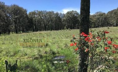 Rancho en venta 40 Hect. en Jilotepec Edo.Méx.privilegiado,Bella Ecología,casa colonial,caballerizas,3 presas de agua,delimitado, todos los servicios.