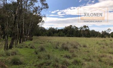 Rancho en venta 40 Hect. en Jilotepec Edo.Méx.privilegiado,Bella Ecología,casa colonial,caballerizas,3 presas de agua,delimitado, todos los servicios.