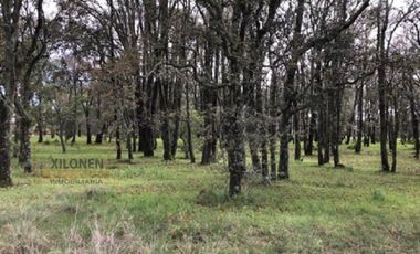 Rancho en venta 40 Hect. en Jilotepec Edo.Méx.privilegiado,Bella Ecología,casa colonial,caballerizas,3 presas de agua,delimitado, todos los servicios.