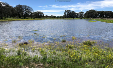 Rancho en venta 40 Hect. en Jilotepec Edo.Méx.privilegiado,Bella Ecología,casa colonial,caballerizas,3 presas de agua,delimitado, todos los servicios.