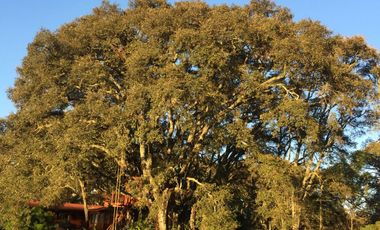 Casa Residencial De Campo Estilo Californiana En Venta.