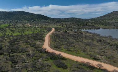 Rematamos Parcelas Planas En Marchigue, Litueche, La estrella Sexta Region Con Financiamiento Crédito Directo