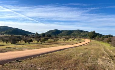 Rematamos Parcelas Planas En Marchigue, Litueche, La estrella Sexta Region Con Financiamiento Crédito Directo