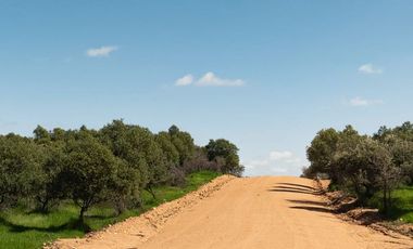 Rematamos Parcelas Planas En Marchigue, Litueche, La estrella Sexta Region Con Financiamiento Crédito Directo
