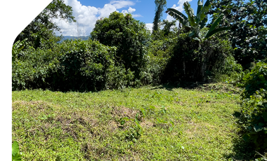 Venta de Terreno en Logroño Morona Santiago, Venta de Terreno cerca de Sucúa, Terreno en el Pasaraíso de la Amazonía