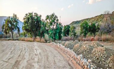 Terreno Industrial en Renta en Allende