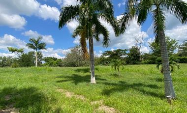 FINCA EN VENTA CON CABAÑA EN VILLAS DEL PALMAR. TURBACO