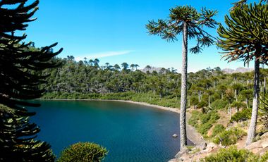 Sitio urbano en Alto BíoBío. Gran inversión turística y plusvalía.