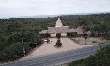 TERRENO EN VENTA TANUSAS